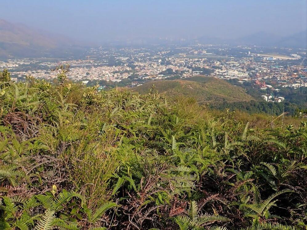 越野跑｜未跑先收藏！5條跑山路線逐一挑戰