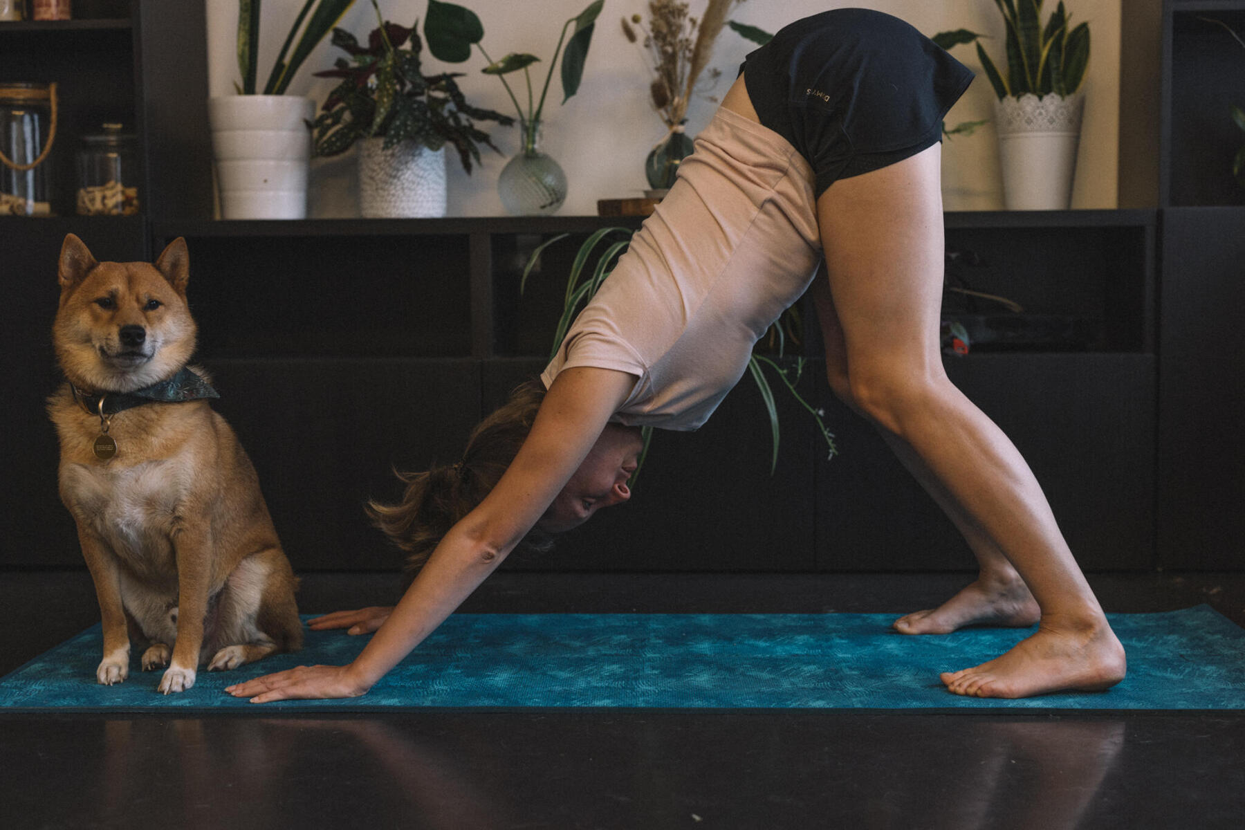 Downward-facing dog