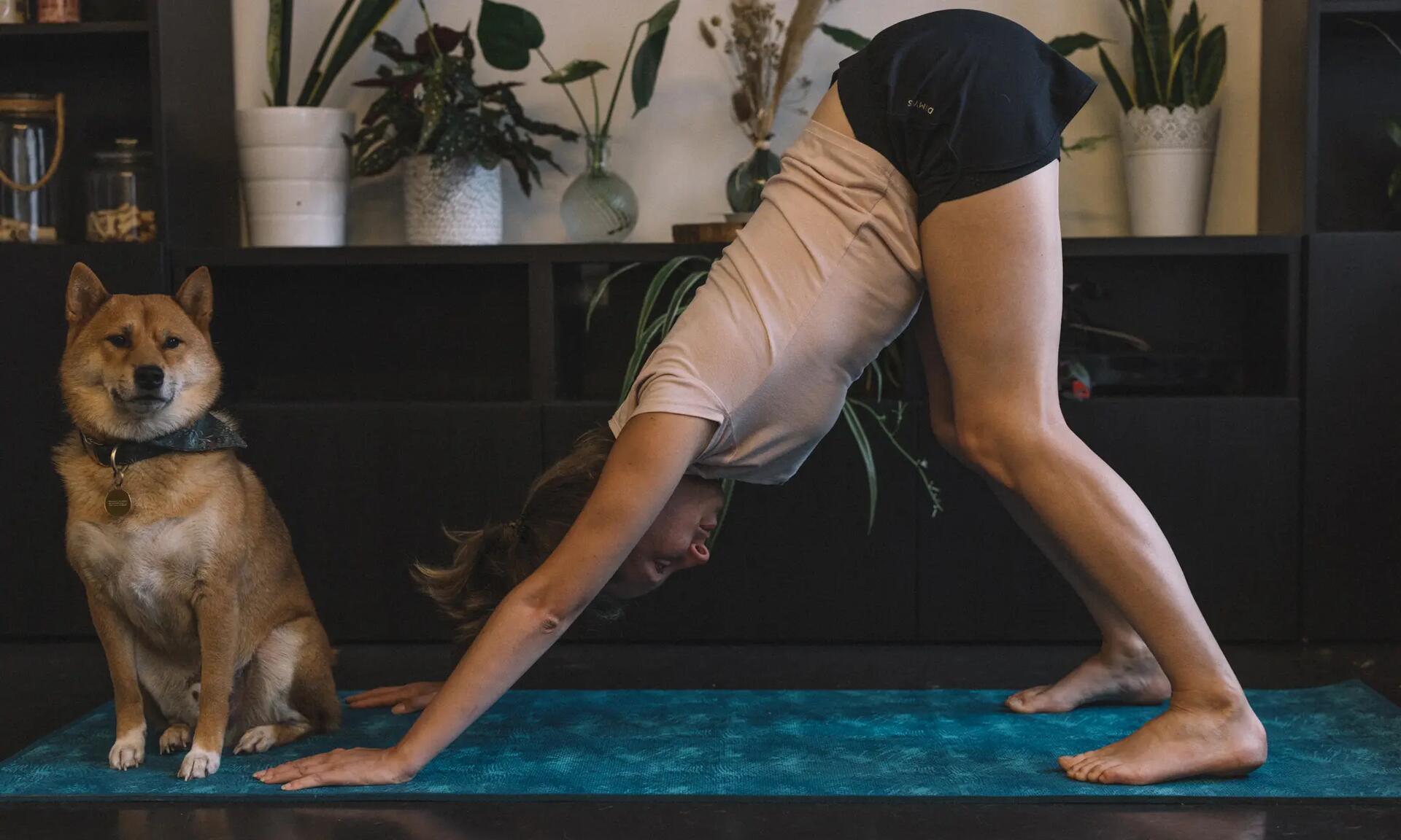 Assouplissement du dos : nos exercices