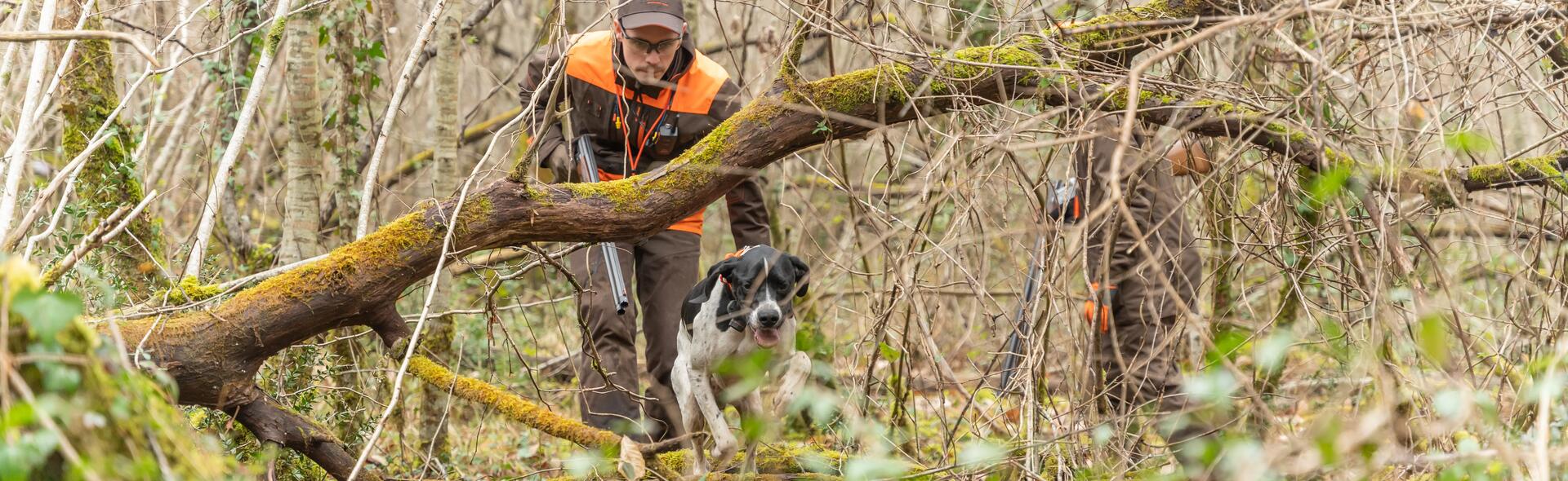 Nos conseils chasse petit gibier