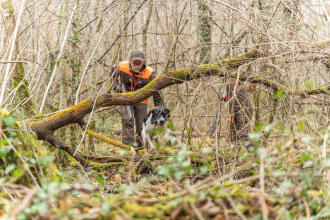 Chasse du petit gibier 