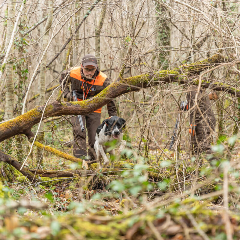 chasse grand et petit gibier solognac decathlon