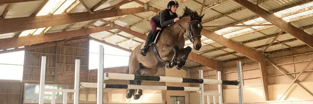 sav equitation decathlon materiel equipement equitation