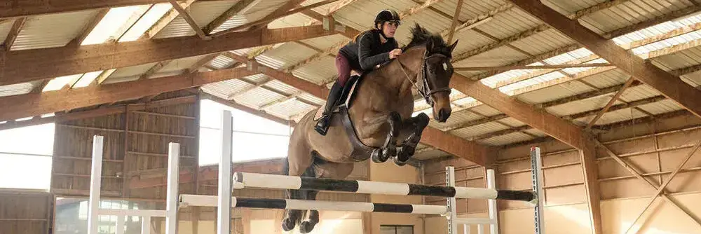 Equitation