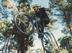Como escolher a bicicleta de BTT mais indicada?