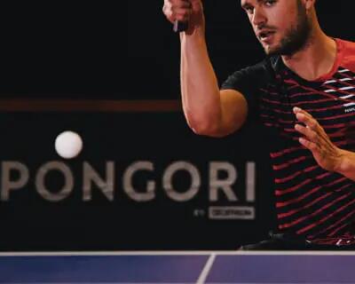 sav tennis de table artengo