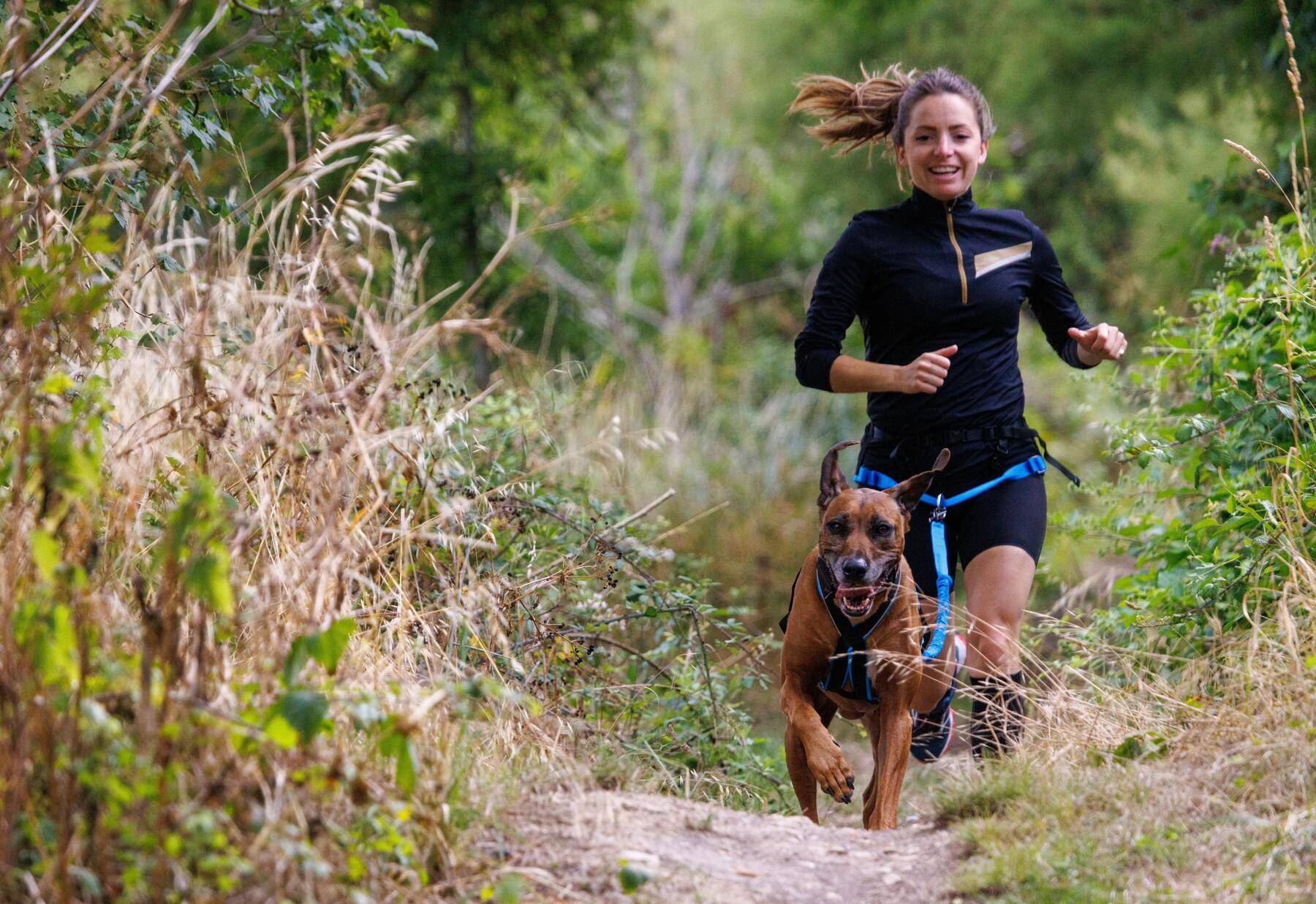 Qué es el canicross y cuáles son los beneficios de correr con tu perro