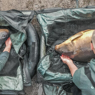 Bien choisir son tapis de réception pour la pêche de la carpe !