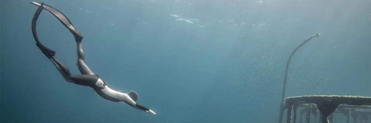 Tipos de buceo sin botella: apnea, snorkel y buceo ligero
