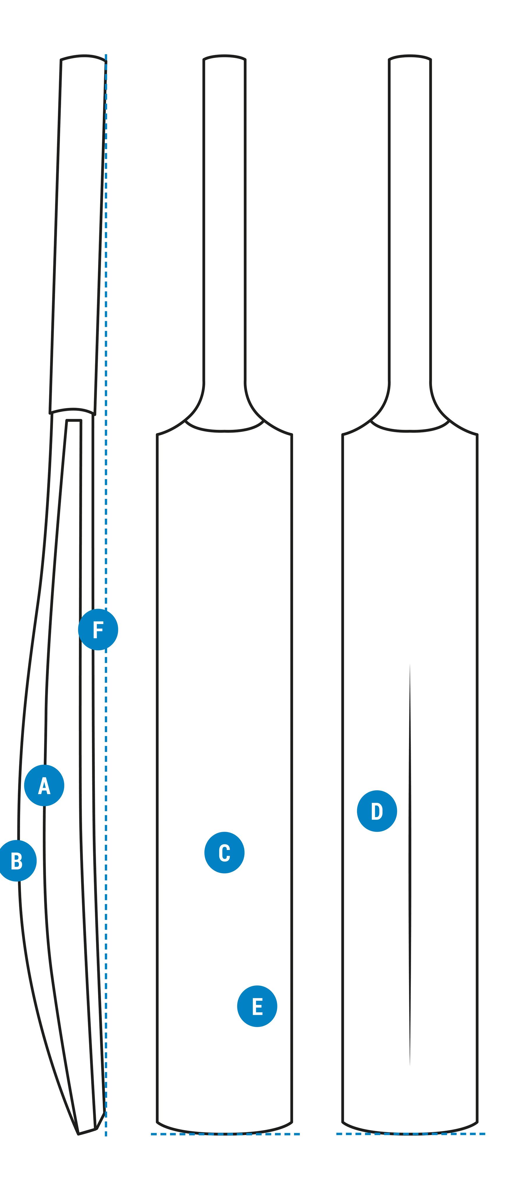 A diagram explaining the anatomy of a cricket bat