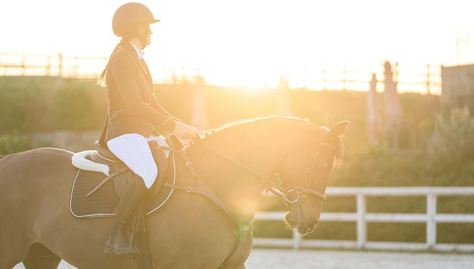 Vêtements d'équitation & accessoires d'équitation