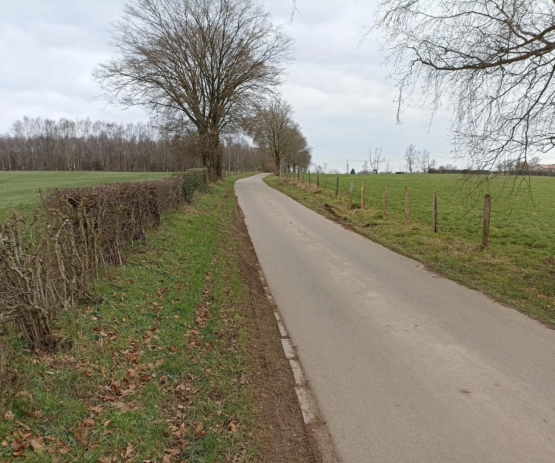 De 5 favoriete hellingen in Wallonië van onze fietsexpert