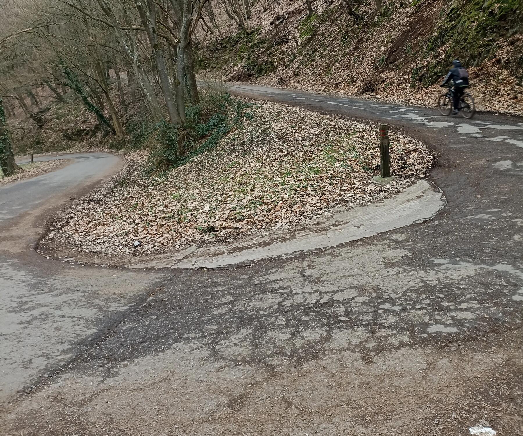 De 5 favoriete hellingen in Wallonië van onze fietsexpert