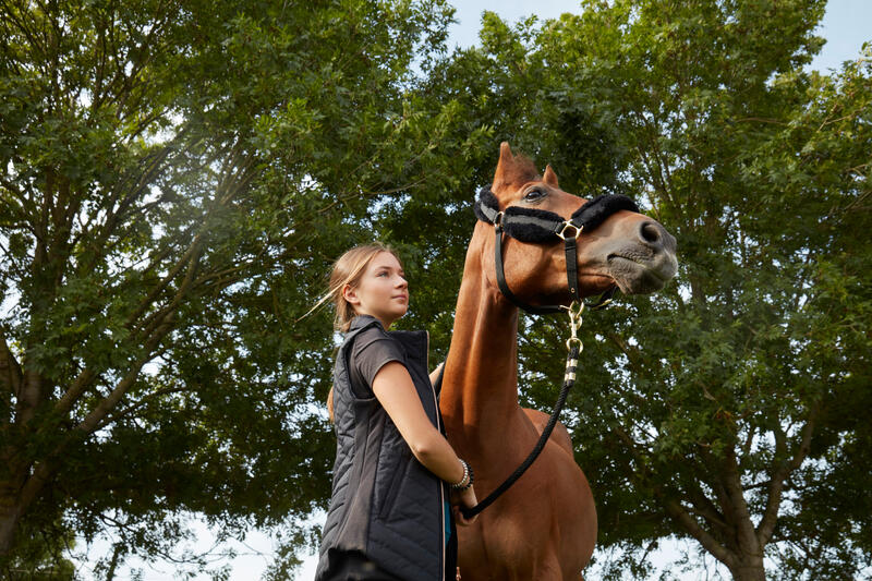 Where's Best to Practice Horse Riding for Beginners?