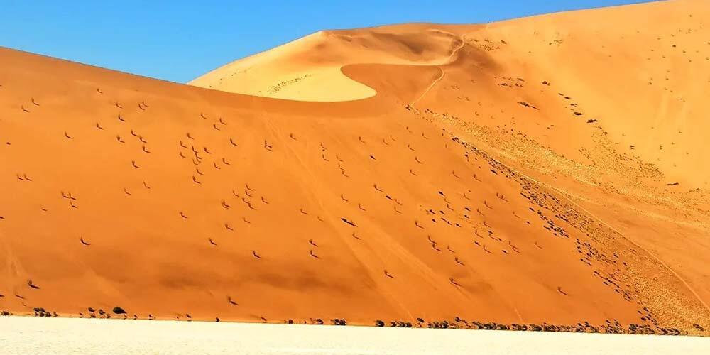 Quentin nous raconte sa traversée de l'Afrique à vélo