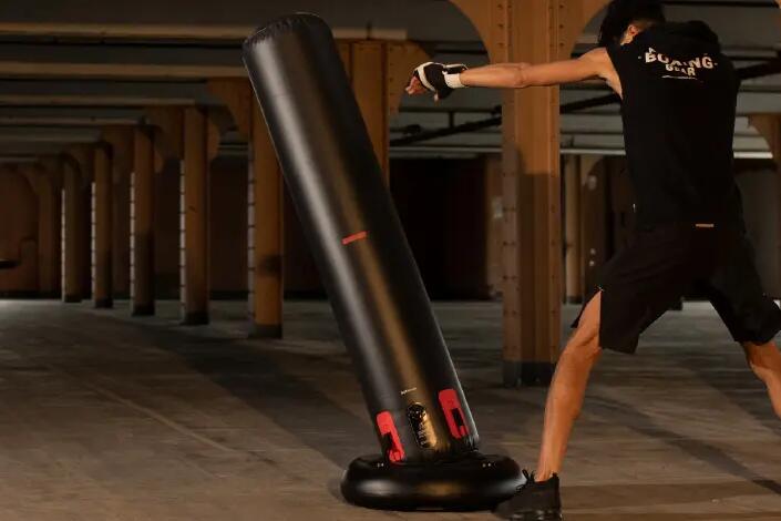 ENTRETIEN & REPARATION  PUNCHING BALL 100