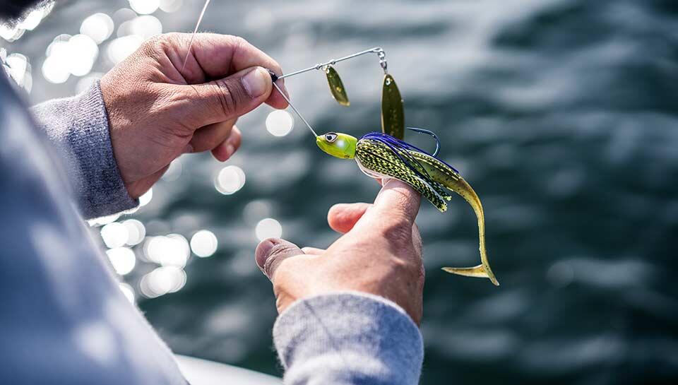 Conseils de pêche au brochet par Leurre Juste - Vidéos sur la pêche -  Magazine Sentier Chasse-Pêche