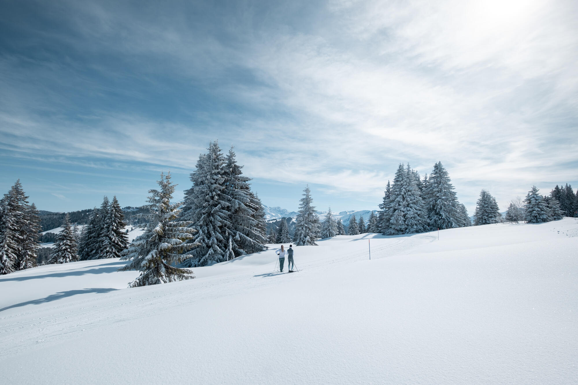 Noleggio Cross-country Ski Boots