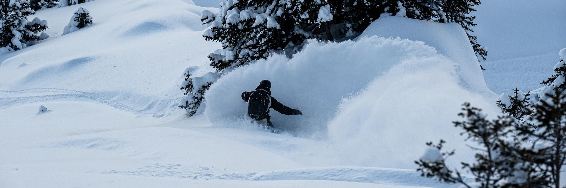 Das richtige Snowboard finden mit unserer Hilfe!