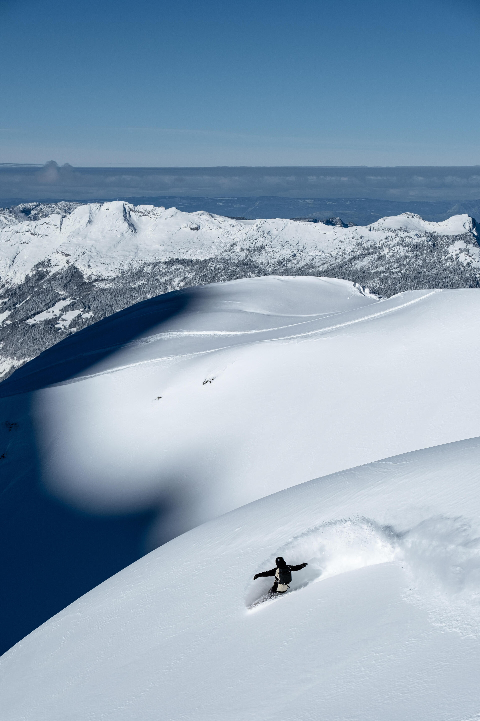 snowboard freeride 