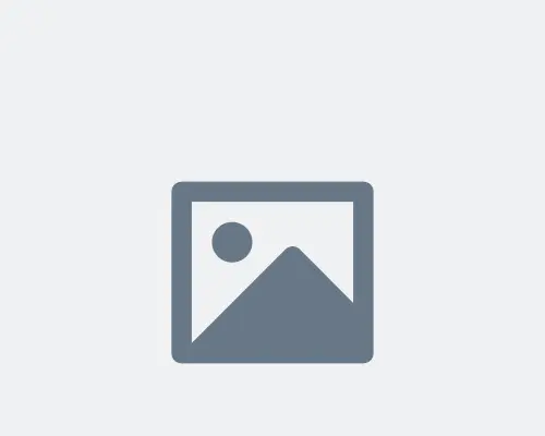 Langlaufstöcke für Erwachsene