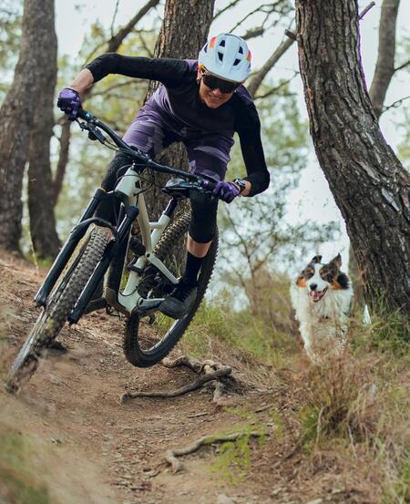 Un article qui donne des conseils pour se balader en vélo avec son chien